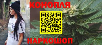 сатива Будённовск
