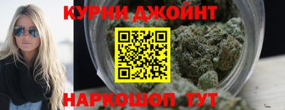 сатива Будённовск
