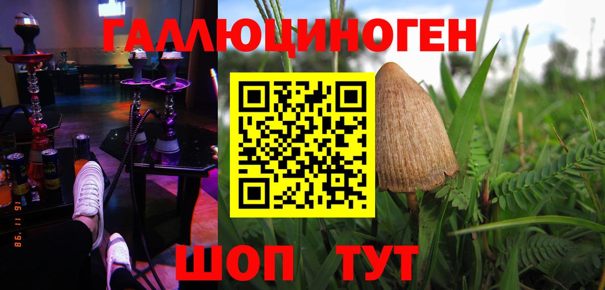 Галлюциногенные грибы Cubensis  Галлюциногенные грибы GOLDEN TEACHER  Реж  Вход с VPN 