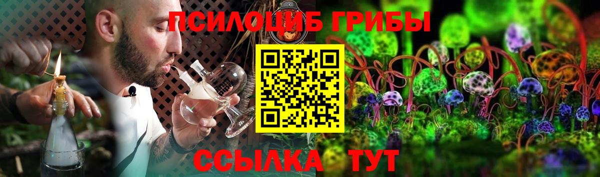 Псилоцибиновые грибы Psilocybine cubensis Реж